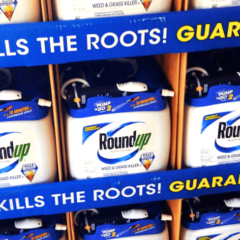 Glyphosate a Carcinogen?  Monsanto Sues California to Prove Otherwise