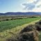 GMO Alfalfa Contamination a Growing Problem