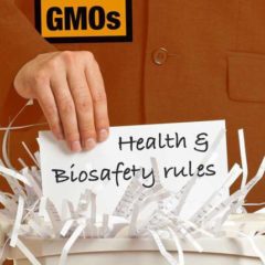 EU GMO Regulation Under Fire