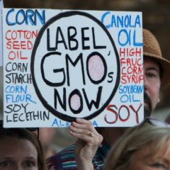 Senate GMO Labeling Bill Fails to Pass